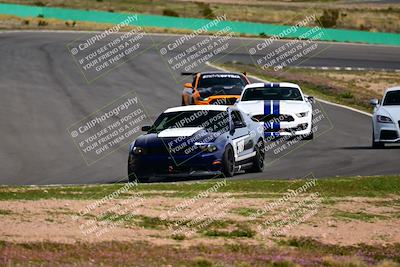 media/Feb-25-2024-Speed Ventures (Sun) [[b9a2a97a4d]]/Mustang Drivers Club/Session 3 (Turn 2)/